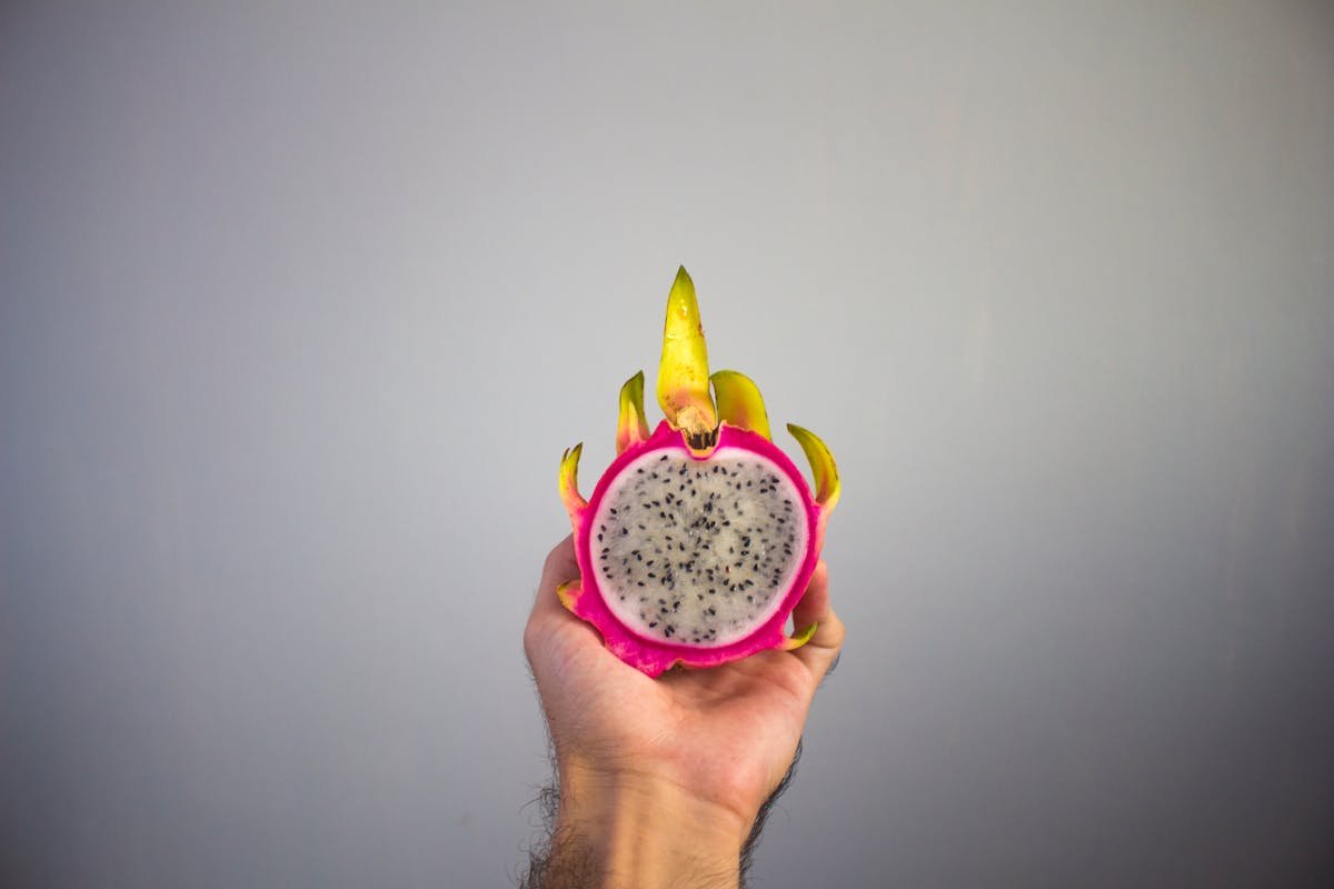 How to plant pitaya: practical and successful tips!