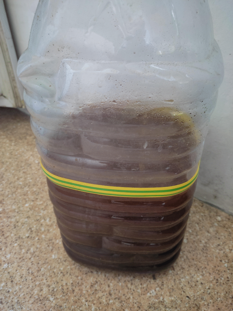 Coffee Grounds, Eggshells, Milk, or Wood Ash? The Right Natural Fertilizer for Roses, Tomatoes, Squash & More 2 Coffee Grounds, Eggshells, Milk, or Wood Ash? The Right Natural Fertilizer for Roses, Tomatoes, Squash & More