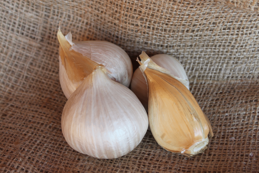 17 Giant Vegetable Varieties for Huge Yields: Grow Record-Breaking Veggies in Your Backyard! 8 17 Giant Vegetable Varieties for Huge Yields: Grow Record-Breaking Veggies in Your Backyard!