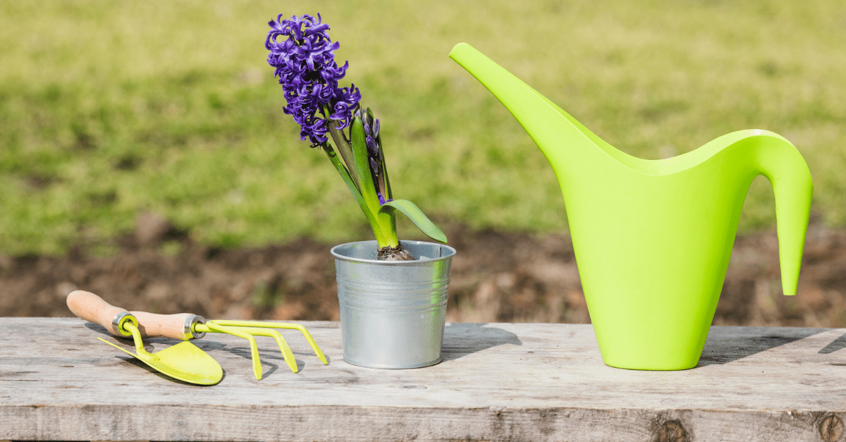 DIY Liquid Fertilizers: Make Powerful Plant Food From Weeds, Manure, and Kitchen Scraps