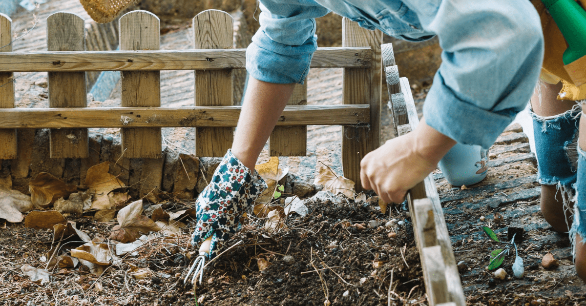 Mulch Magic: How the Right Ground Cover Can Cut Your Watering in Half
