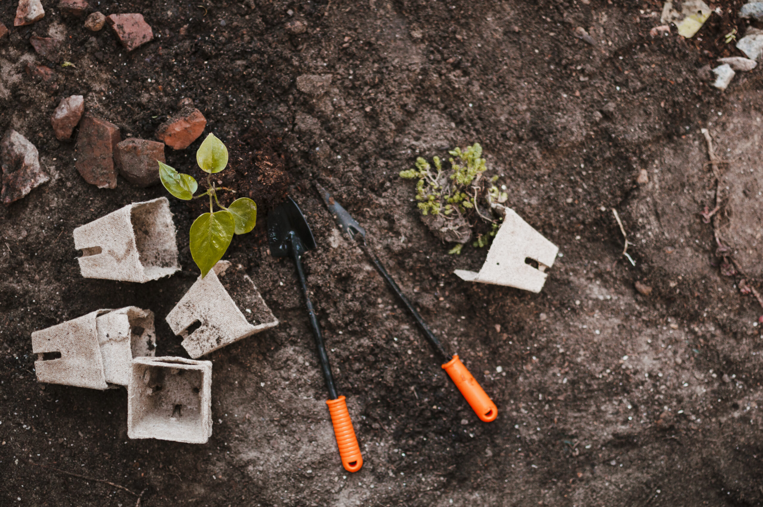 Clay, Sand, or Containers: How to Build Perfect Soil for Every Garden Situation