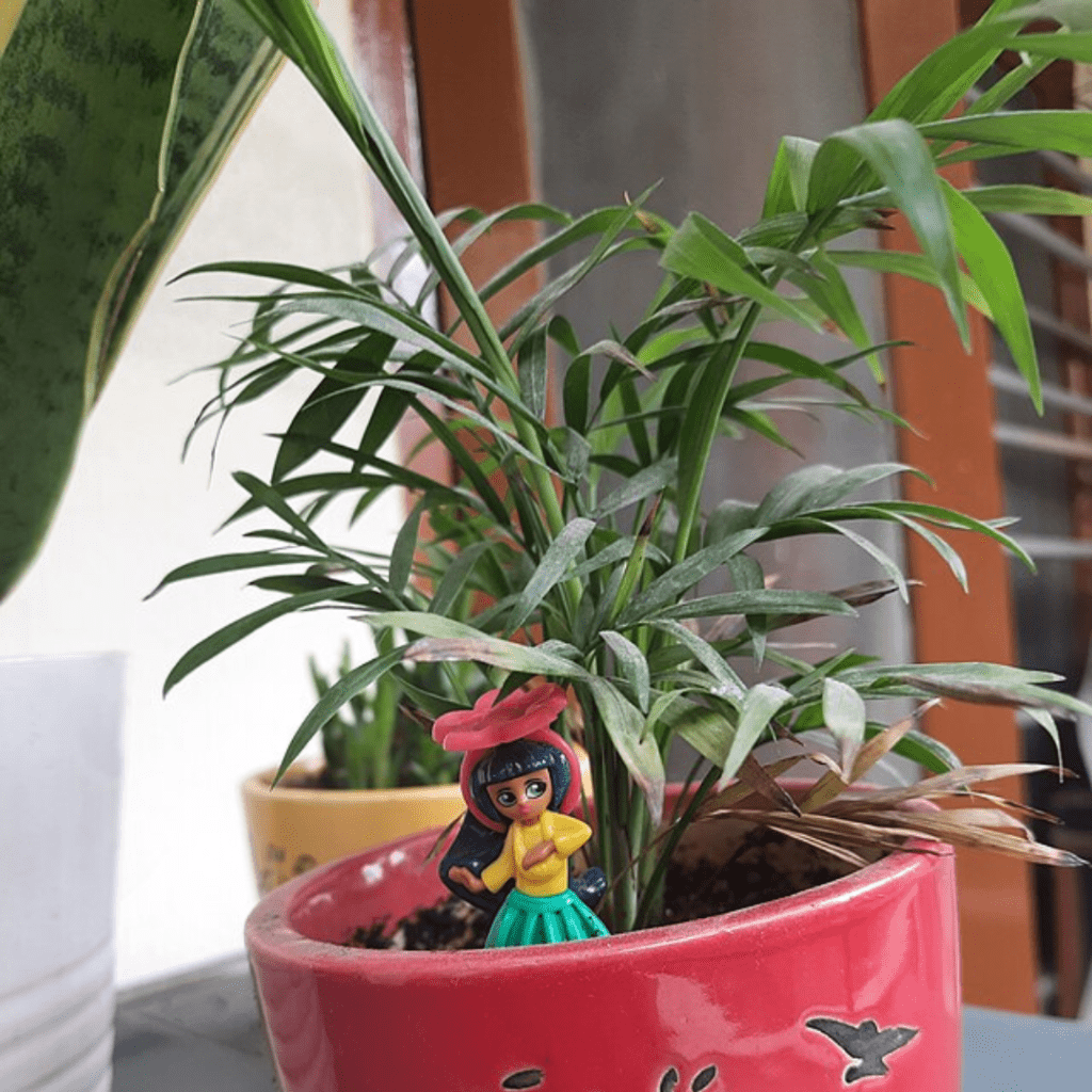 9 Houseplants You Can Practically Ignore (and They'll Still Thrive) 35 9 Houseplants You Can Practically Ignore (and They'll Still Thrive)