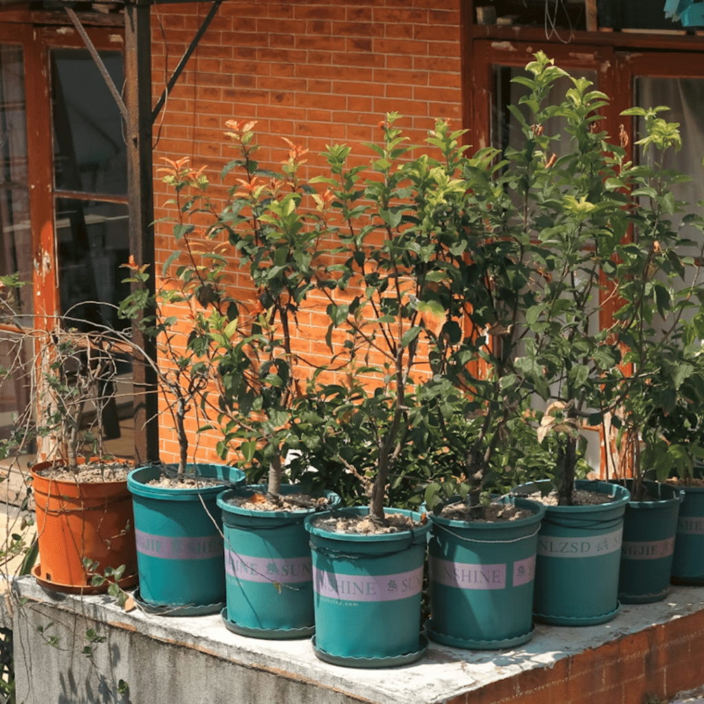 6 Quick Garden Chores to Finish Before Your First Frost