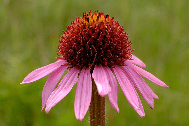 Build an Insect Hotel: A Cosy Home for Pollinators & Garden Allies 10 Build an Insect Hotel: A Cosy Home for Pollinators & Garden Allies