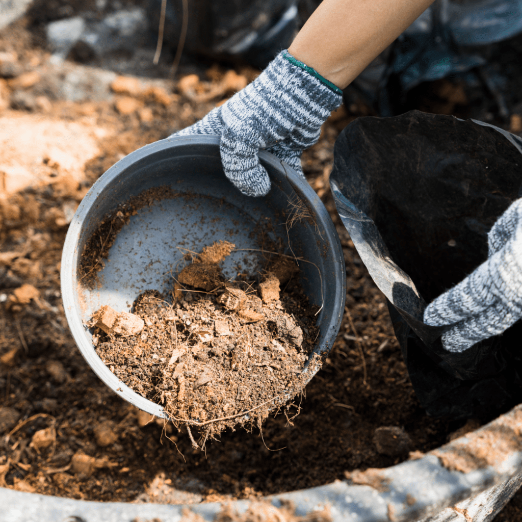 Building Living Soil: The Complete Guide to Compost and Natural Fertilizers for Your Garden 7 Building Living Soil: The Complete Guide to Compost and Natural Fertilizers for Your Garden