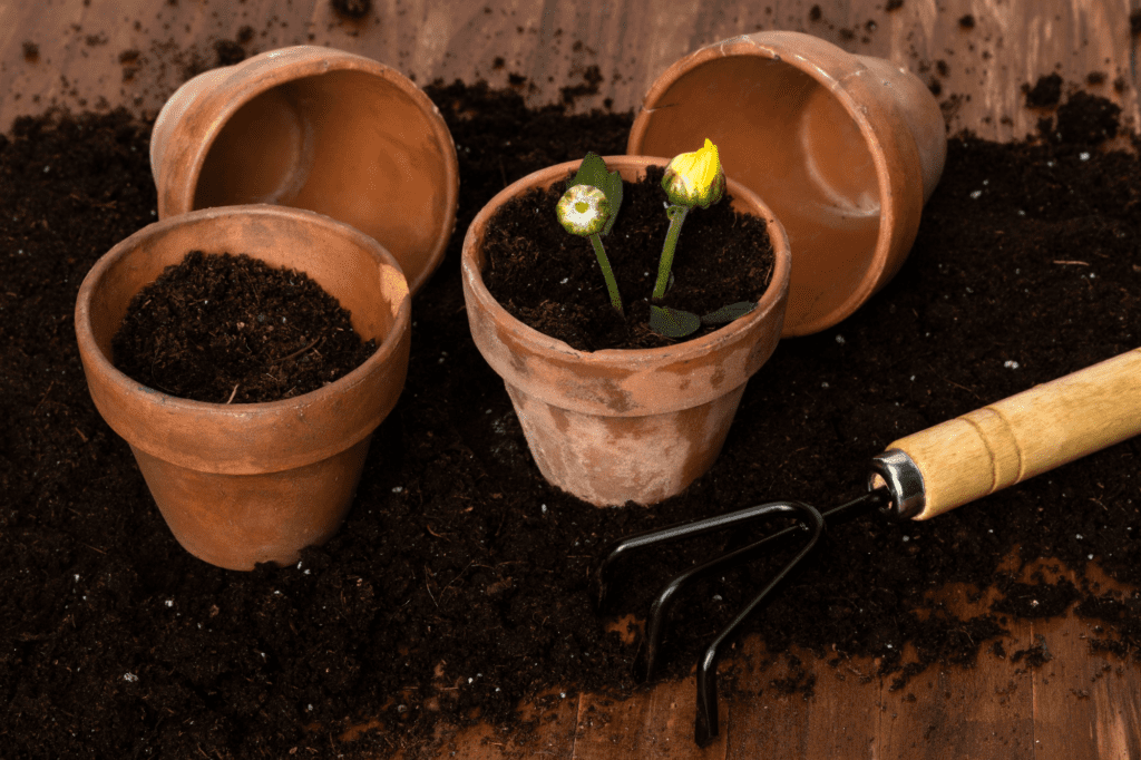 Clay, Sand, or Containers: How to Build Perfect Soil for Every Garden Situation 9 Clay, Sand, or Containers: How to Build Perfect Soil for Every Garden Situation