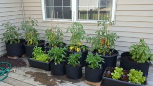 container vegetable garden deck