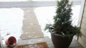 winter container garden evergreen porch