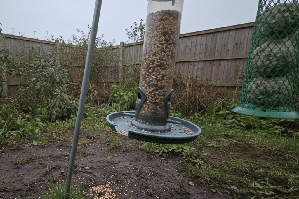 Feeding Birds Year-Round - What to Put Out, When - and What to Stop Putting Out 2 Feeding Birds Year-Round - What to Put Out, When - and What to Stop Putting Out