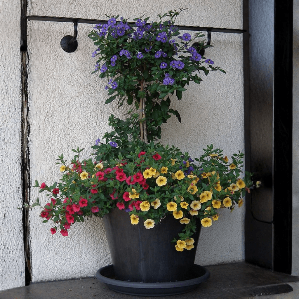 Patio Culture 101: How to Build a Low-Maintenance Container Garden This Spring